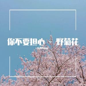 【钢琴】你不要担心