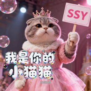 我是你的小猫猫