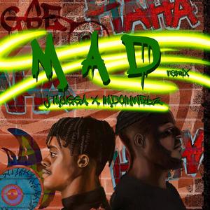 Mad (feat. Imdoinwelz) (Remix)