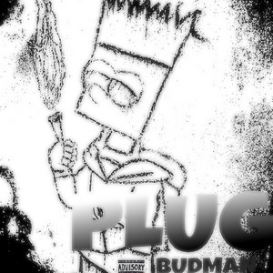 Plug