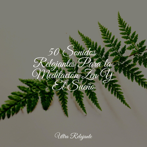 Brisa A Través De Las Edades