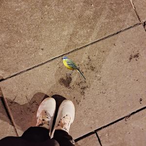 Yağmurlar Yağsın Üstümüze