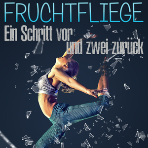 Ein Schritt Vor Und Zwei Zurück