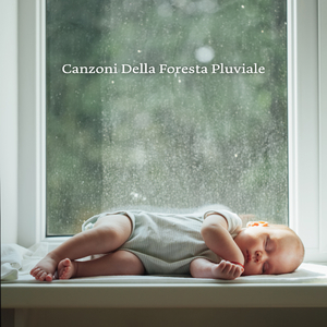 Pioggia, suono del porto e delle onde