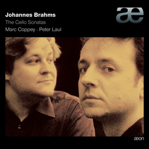 Sonata for Violin (Cello) and Piano in D Major, Op. 78 (Transcription): I. Vivace ma non troppo