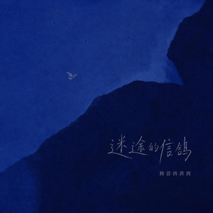 迷途的信鸽（DJ黄周豪版)0.8x版