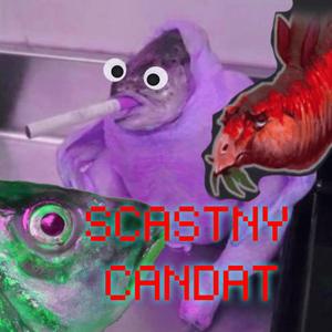 scastny candat