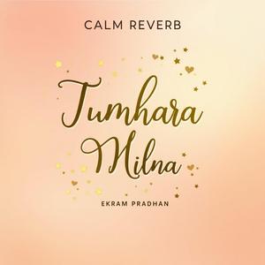Tumhara Milna