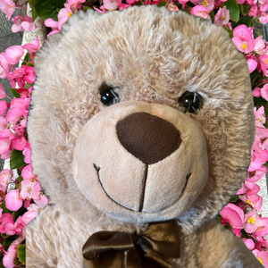 命の音 (NEW VOCAL BALLAD Ver.)