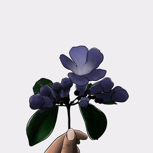 Fula Jhai (feat. Angeoini, Ingsoo Hang & Prabhaa Rai)