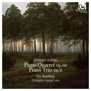 Piano Quartet No. 3 in C Minor, Op. 60: III. Andante