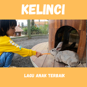 Kelinci