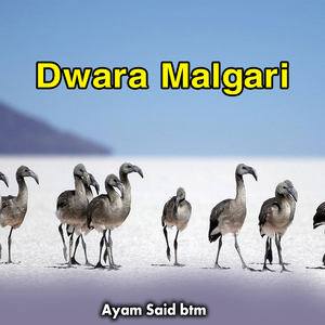 Dwara Malgari