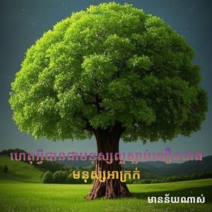 ហេតុអ្វីបានជាមនុស្សល្អៗស្លាប់លឿនជាងមនុស្សអាក្រក់