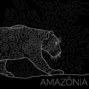 Amazônia