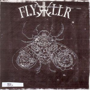 Flykkiller