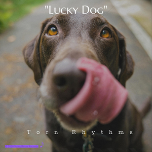 Lucky Dog