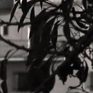 Nana de la Luna Negra (feat. Mónica Navarro)