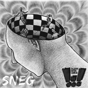 Sneg