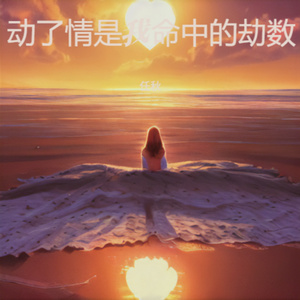 动了情是我命中的劫数