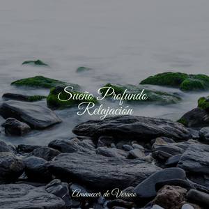 Éxtasis Dorado Entre las Nubes