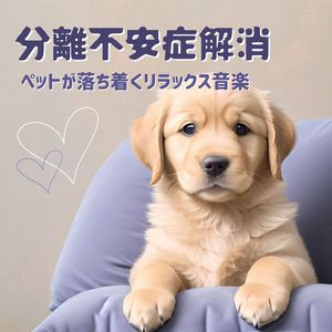 居心地の良い場所