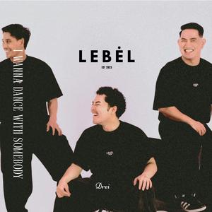 I Wanna Dance With Somebody (Who Loves Me)