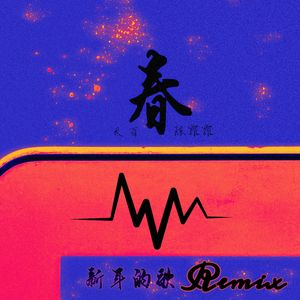 新年的歌 Remix