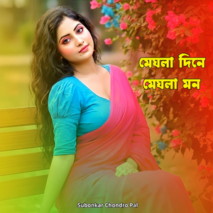 মেঘলা দিনে মেঘলা মন