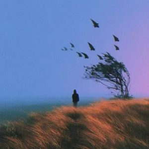 一个人想着一个人（说唱版）
