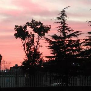 浪漫主义（cover:姜云升）