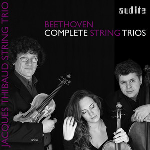 String Trio No. 5 in C Minor, Op. 9 No. 3: II. Adagio con espressione