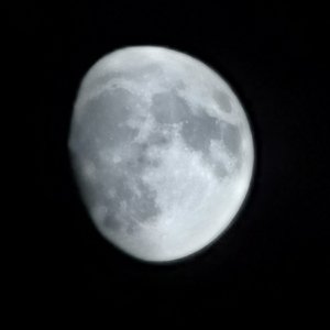 乐园的逃杀游戏