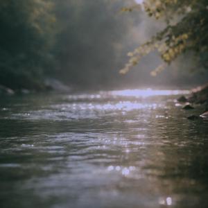 Riverlight