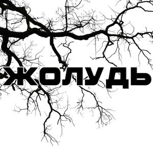 Жолудь