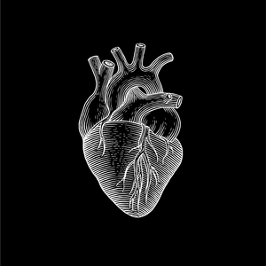 Black Mark (feat. Amber Woodhouse)