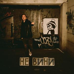 Не вини