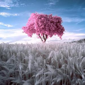 2PM-Tik Tok （DJ阿透Breakbeat remix 2021）