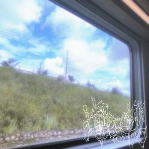 我們死在了花季過敏与悶熱里