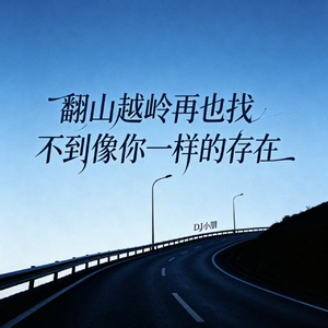 翻山越岭再也找不到像你一样的存在