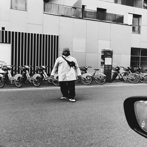 Aus dem Weg, vom Kalb.