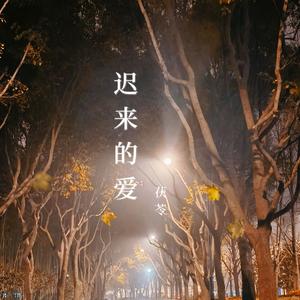 迟来的爱（2024新版）