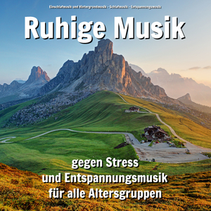 Beruhigende Musik gegen Überbelastung