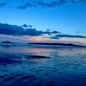 He Thinks He Knows What True Love Means