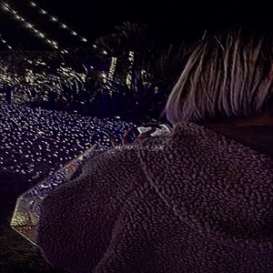 ROSE (feat. S.A.D Force)