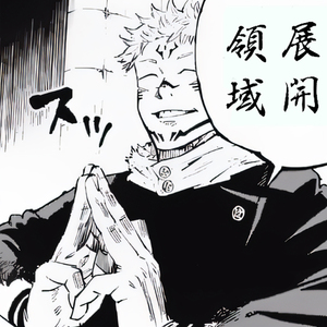 RYOIKI TENKAI 領域展開