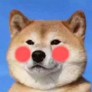 dsfdsfdsf