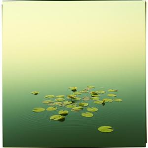 初夏のそよ風-250301-02 by @nia_japanese