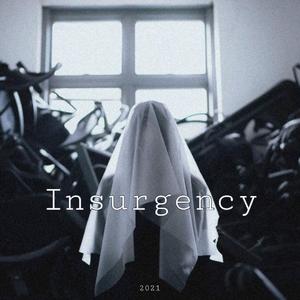 Insurgency