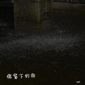 你留下的雨 (降调版)